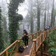 Araku Valley Tour